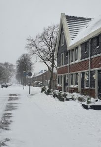 Sneeuw Papelaan Weesp