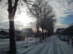 Papelaan in de sneeuw